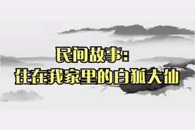 民间故事：住在我家里的白狐大仙视频封面