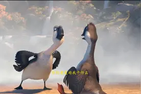 广西老表不结婚的原因视频封面
