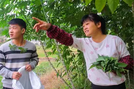 妈妈教育儿子，问路要懂礼貌，要不人别人会跟你说“转个弯就到”视频封面