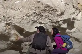 世上真有穿墙术吗？大叔街头亲自测试，结局让人难以预料！