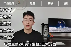 大厂小哥哥科普互联网行业4大核心岗位，工作内容，及薪资待遇视频封面