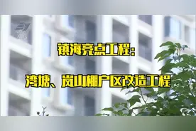 镇海亮点工程：湾塘、岚山棚户区改造工程视频封面