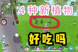 创造与魔法：新增4种食材暗指要出新生物了吗？还是为了满足吃货视频封面