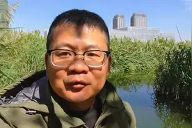野钓杂鱼闹窝，钩饵下不去底，使用外挂式滑铅钓法完美解决问题视频封面