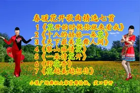《十八的姑娘一朵花》《花开的时候你就来看我》《梨山痴情花》视频封面