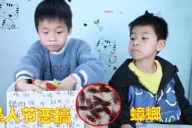 愚人节恶搞，把20个假蟑螂放到零食箱，哥哥吓得躲到了角落里视频封面