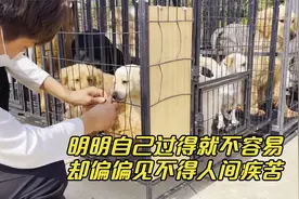 狗狗适应环境状态有所好转，照顾狗狗之余，姐弟俩不忘参加志愿者