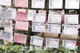 西安相亲公园招上门女婿，条件是初中以上学历即可入赘