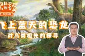 【中科院南古所】飞上蓝天的恐龙——对鸟类祖先的探寻视频封面