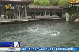 泉水撒欢！趵突泉水位一天蹿升16厘米，“趵突腾空”胜景太壮观视频封面