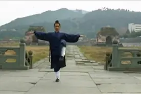 外国人看武当功夫，外国网友：中国功夫太神奇了，我也想学视频封面