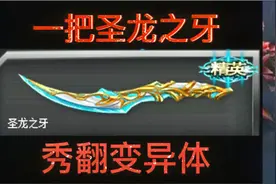 火线精英：你们低估了圣龙之牙的伤害！