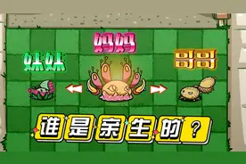 植物大战僵尸：莲蓬妹妹和西瓜哥哥到底谁才是妈妈亲生呢？