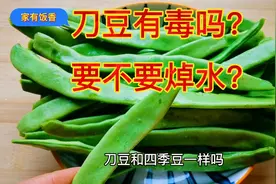 刀豆有毒吗？要不要焯水？别吃错了，试试这样做酱香爽口又健康