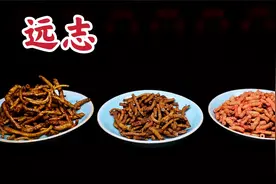 中药炮制  远志视频封面