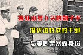 杨进兴：杀小萝卜头刽子手，潜伏进村成村干部，与妻吵架暴露身份
