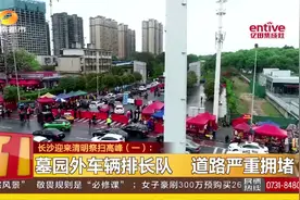 长沙迎来清明祭扫高峰：各墓园未见燃放鞭炮，市民多选鲜花祭祀视频封面