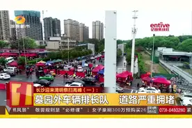 长沙迎来清明祭扫高峰：各墓园未见燃放鞭炮，市民多选鲜花祭祀视频封面