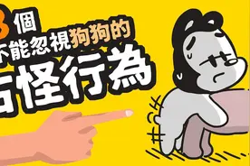 狗狗的这8个古怪行为，不要再傻傻忽视了！视频封面