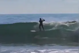 美国加州一群海豚跃出水面与冲浪者一起“嬉戏”视频封面