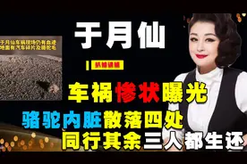 于月仙车祸细节曝光，致命之物可能是它？司机该承担责任吗视频封面