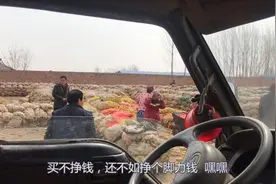 收粮华哥到100万斤玉米场地看玉米 和同行聊些啥？说出利润别吃惊视频封面