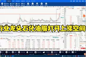 国际油价大涨 石化油服板块开启新周期！视频封面
