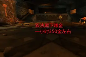 魔兽世界怀旧服：双法黑下赚金，一小时350金左右视频封面