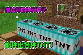 MC我的世界：魔法师给我神秘种子，能种出来各种TNT视频封面