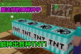 MC我的世界：魔法师给我神秘种子，能种出来各种TNT