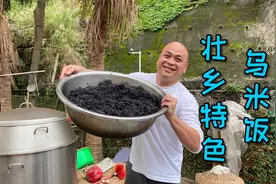 三月三是广西壮乡的传统节日，少不了传统特色美食，比如这乌米饭视频封面