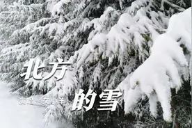 一首《北方的雪》送给朋友们，请大家欣赏！记得点点关注啊！