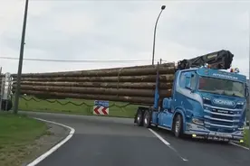 德国的重型卡车有多牛？看看后面拉的木头就明白了！太强悍了视频封面