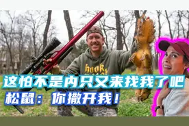你吃过松鼠吗？知道松鼠吃起来是什么味道吗？快来和我一起康康吧视频封面