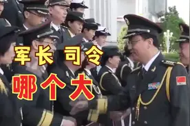 司令和军长哪个大？视频封面