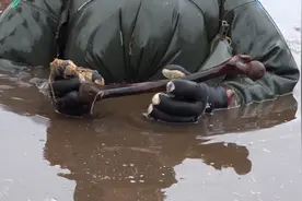 二战士兵遗骸打捞，同志们，该回家了！视频封面