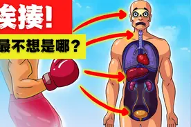 【科普】人身体哪个部位挨打之后最疼？打架的时候一定要保护好！视频封面
