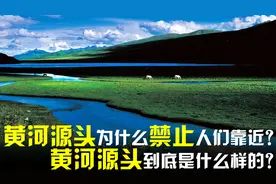 黄河的源头只有碗口大小？为什么要禁止人们靠近？靠近会出问题?视频封面