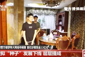 买下千万豪宅藏了13亿！推广“区块链种子”实际还是传销？视频封面