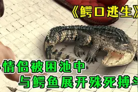 这个男人有多惨？被困游泳池七天七夜，完美错过十次获救机会！视频封面