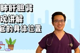 你知道人体有哪些器官，又分别都在哪里吗？