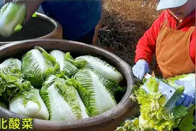 胖嫂积酸菜，白菜不洗不放盐，好吃又简单，东北入冬酸菜从不缺席视频封面