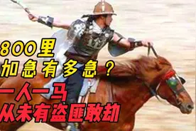 历史上的“八百里加急”到底有多急？一人一马，从未有盗匪敢劫视频封面