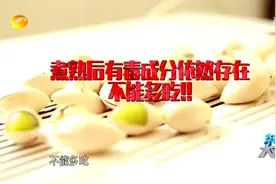 大求真：两岁男孩太贪吃，一口气吃了20颗白果，没多久就开始抽搐视频封面