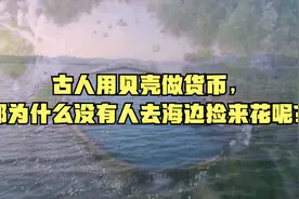 古人用贝壳做货币，那为什么没有人去海边捡来花呢？视频封面