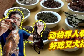广东潮汕土特产：被誉为“动物人参”！15种中药熬成，好吃大补！视频封面