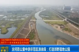汾河百公里中游示范区清徐段：打造郊野湿地公园视频封面