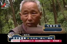 四川惊现野人痕迹？竟然有人形熊样一身毛，还跑下山要求上户口视频封面