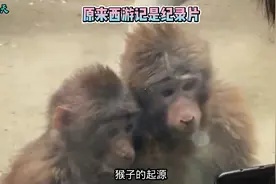 原来西游记是纪录片，猴子真的会变身啊视频封面