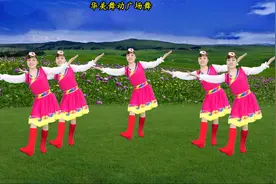 精选广场舞《北京的金山上》藏歌天籁之音真好听，附动作分解！